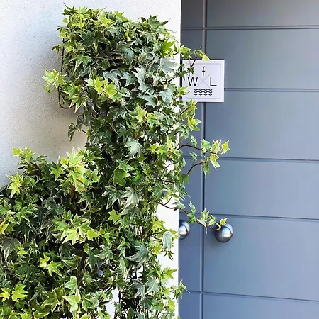 Fwl Italian Romance On The *